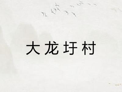 大龙圩村