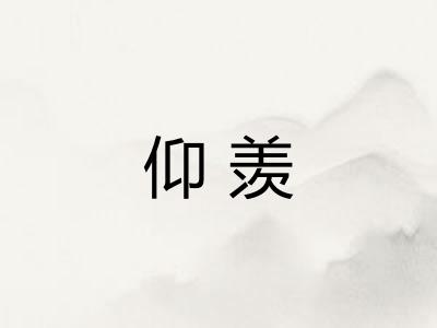 仰羡