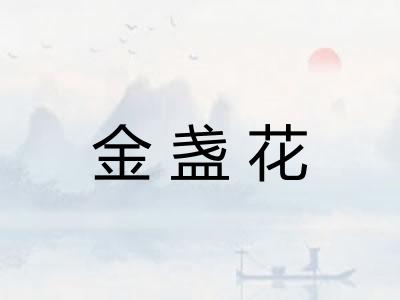 金盏花 金盏花
