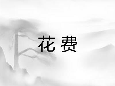 花费