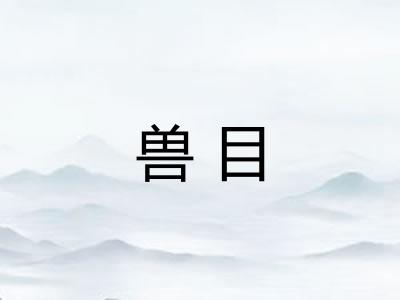 兽目