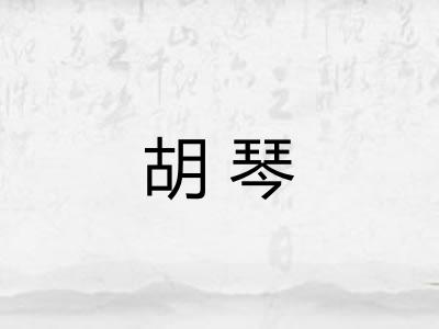 胡琴