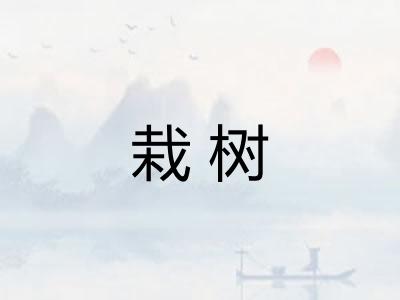 栽树