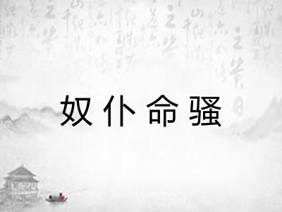 奴仆命骚