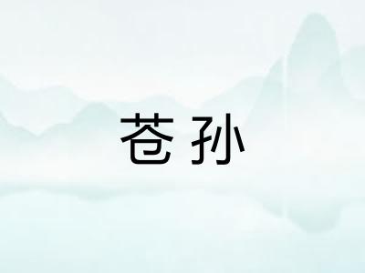 苍孙