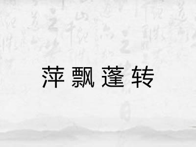 萍飘蓬转