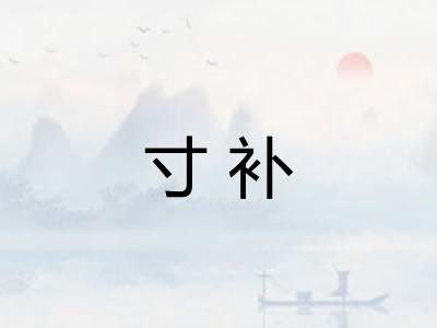 寸补