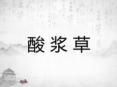 酸浆草