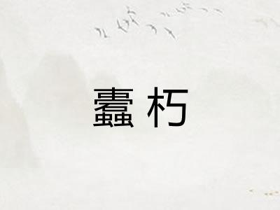 蠹朽