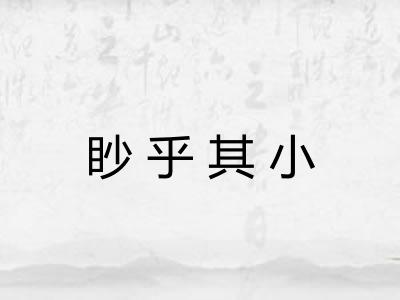 眇乎其小
