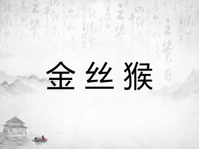 金丝猴