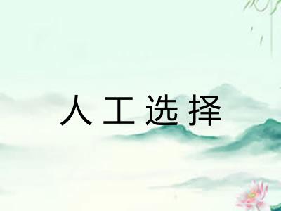 人工选择