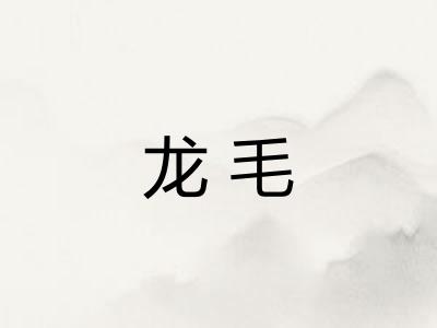 龙毛