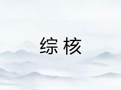 综核