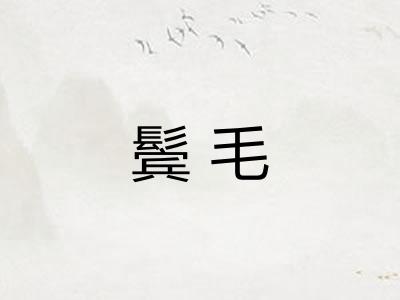 鬓毛