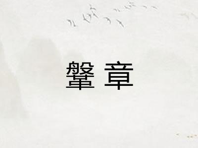 鞶章