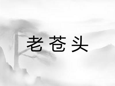 老苍头