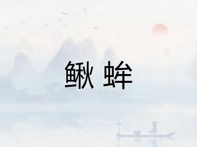 鳅蛑