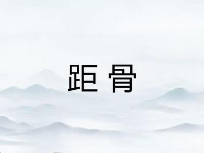 距骨