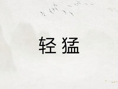 轻猛