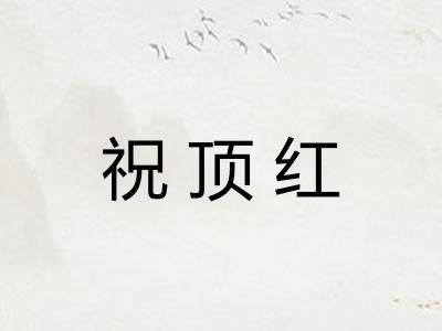 祝顶红