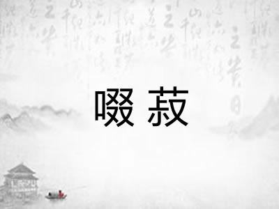 啜菽