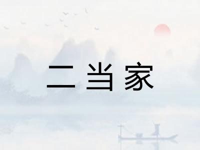 二当家