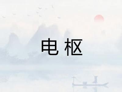 电枢