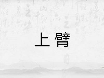 上臂
