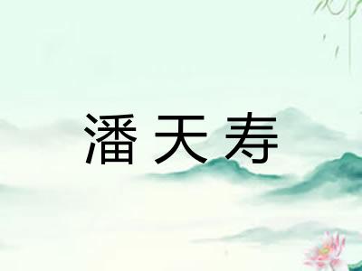 潘天寿