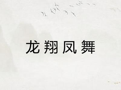 龙翔凤舞