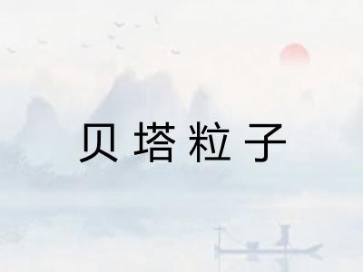 贝塔粒子