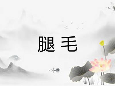 腿毛