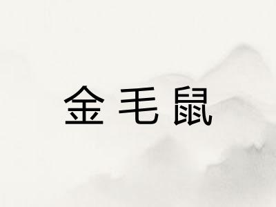 金毛鼠