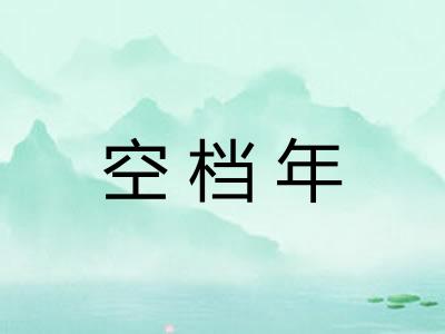空档年