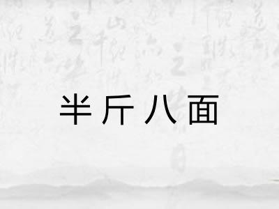 半斤八面