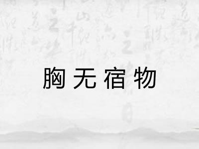 胸无宿物