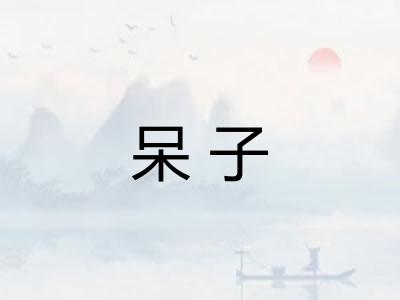 呆子