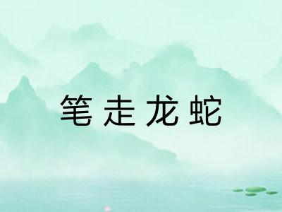 笔走龙蛇