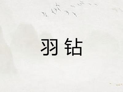 羽钻