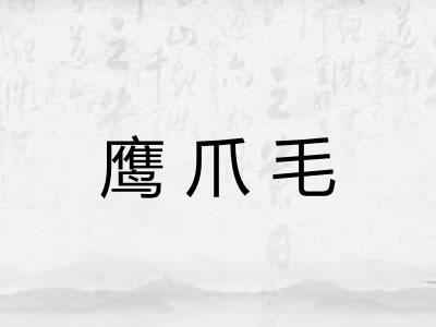 鹰爪毛