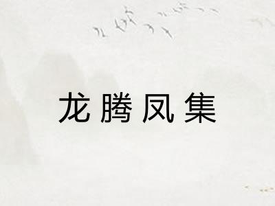 龙腾凤集