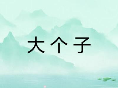大个子