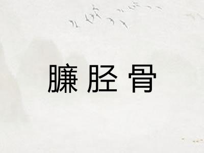 臁胫骨
