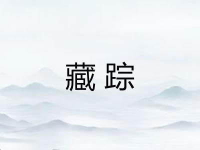 藏踪