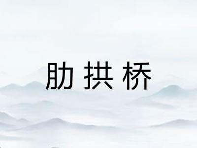 肋拱桥