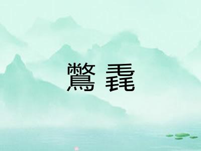 鷩毳