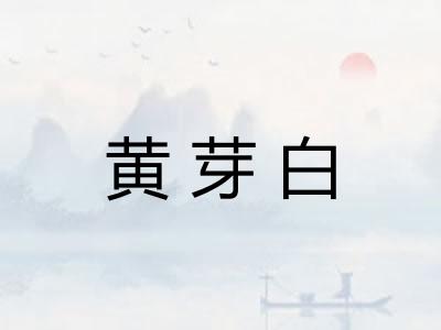 黄芽白