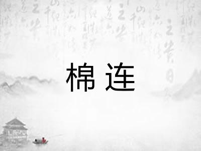 棉连