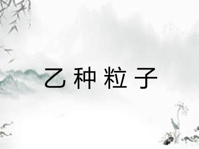 乙种粒子